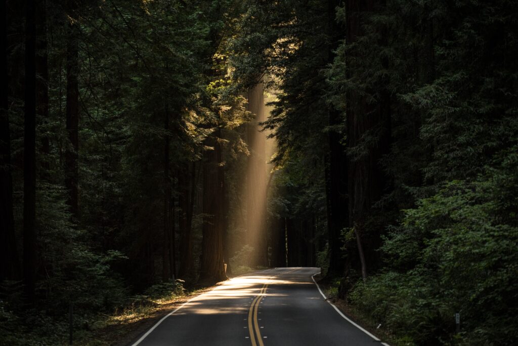 A two-lane road through a dark forest, with a ray of sunlight shining down in the middle of the road ahead in the middle distance. 
