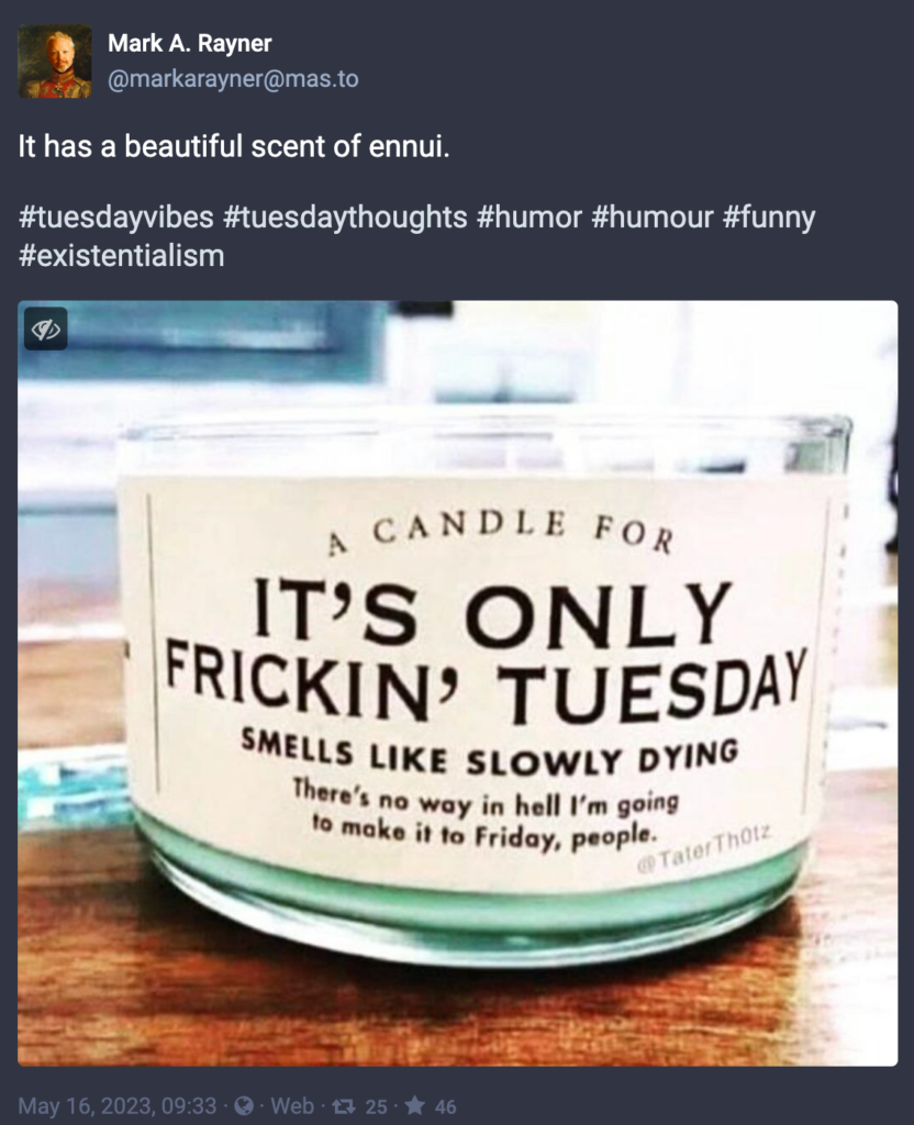 Photo of a candle, scent label reads: “A candle for It’s Only Frickin’ Tuesday - smells like slowly dying - There’s no way in hell I’m going to make it to Friday, people @taterth0tz “
caption: it has a beautiful scent of ennui #TuesdayVibes #TuesdayThoughts #humor #humour #funny #existentialism