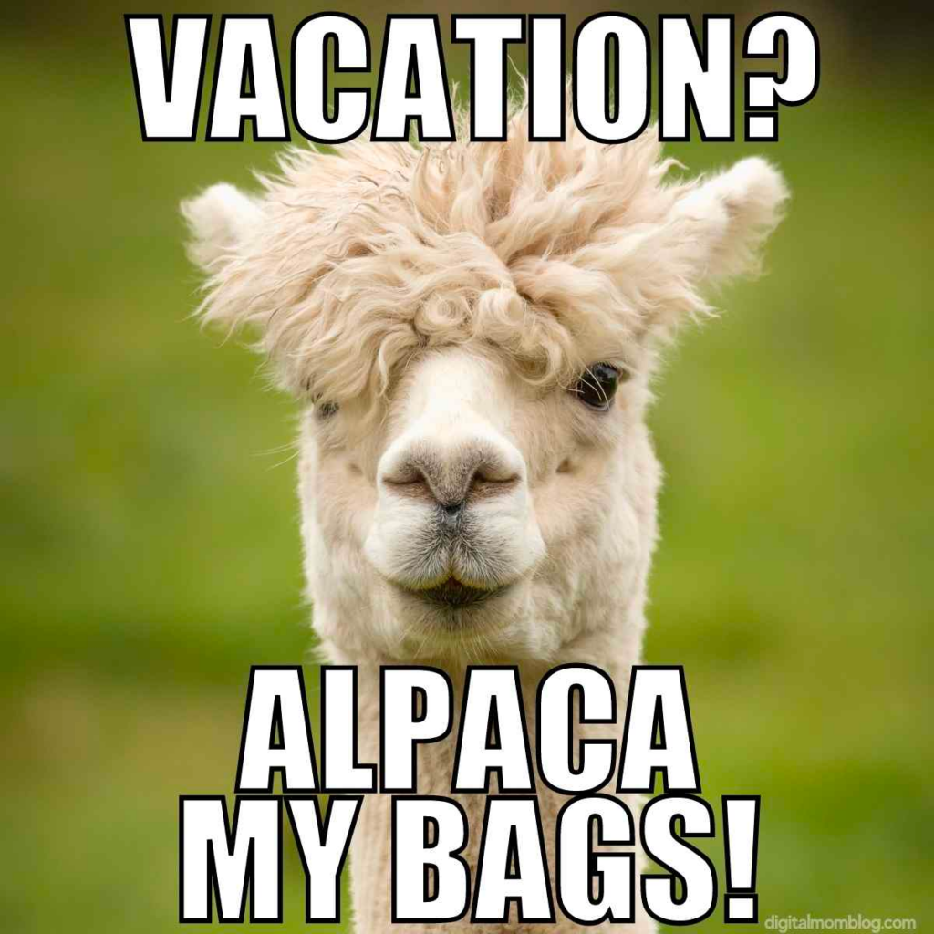Picture of an alpaca with captions: Vacation? Alpaca my bags!